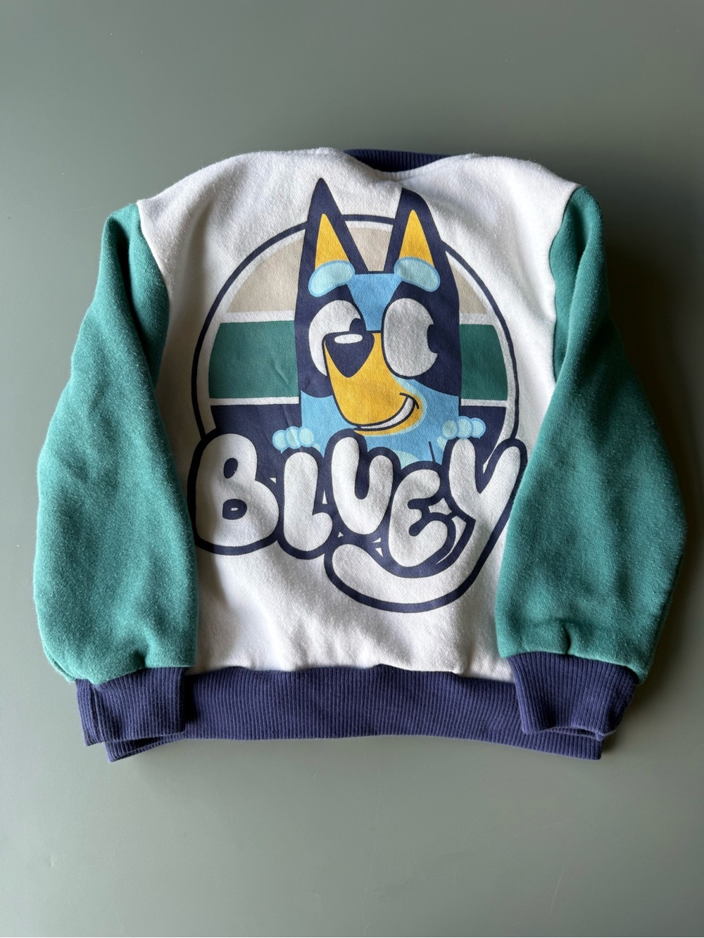 Kids' Bluey Graphic Jean-Style Jacket with Green Sleeves